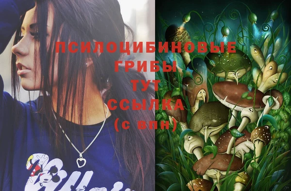 мяу мяу мука Абинск