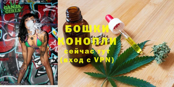 прущая мука Инсар