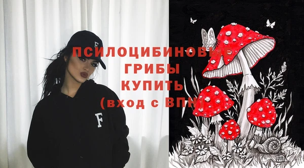 скорость Алзамай